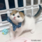 オンライン見学