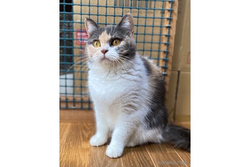 ちゃん1枚目