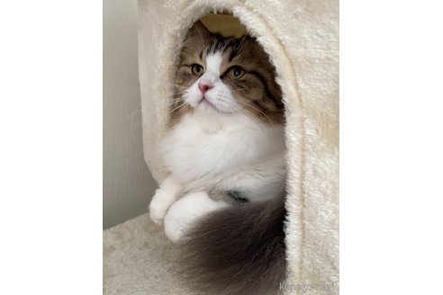 まっちゃちゃん1枚目