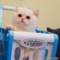 オンライン見学