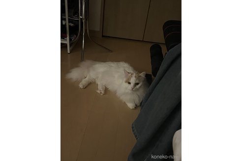ミロくん1枚目