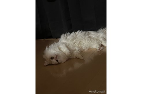 ミロくん1枚目