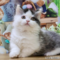 オンライン見学