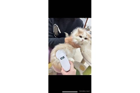 ちゃん1枚目