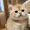 オンライン見学