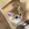オンライン見学