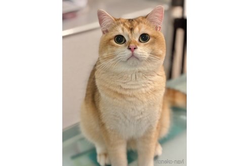 ぽん太くん1枚目