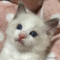 オンライン見学