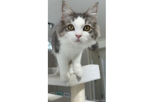 ソフィアちゃん1枚目