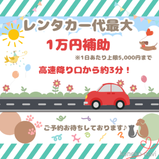 販売中の千葉県のノルウェージャンフォレストキャット-116769の9枚目