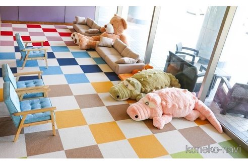 販売中の千葉県のミヌエット-113546の2枚目