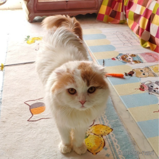 デュランダルくん1枚目