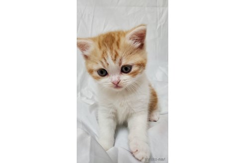 ベティちゃん1枚目