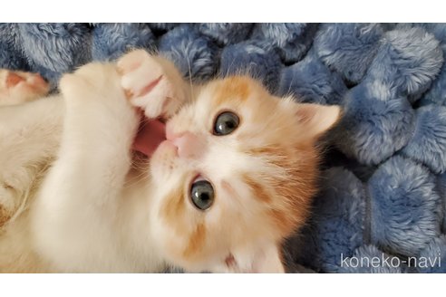 ベティちゃん1枚目