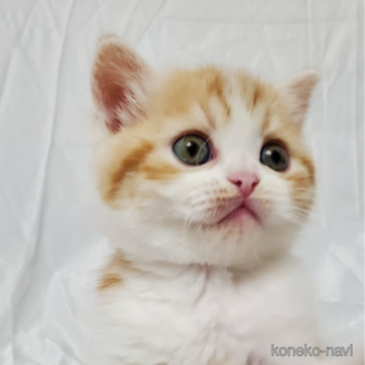 ベティちゃん1枚目