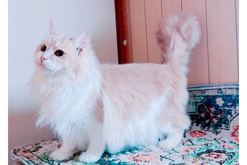メイちゃん1枚目
