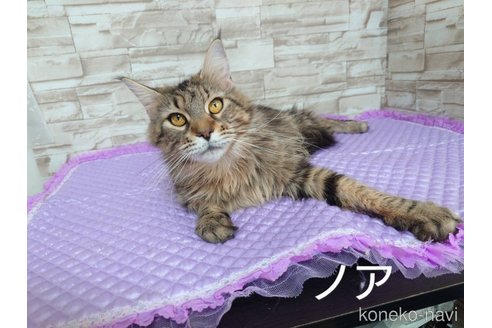 ちゃん1枚目