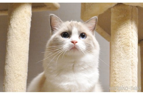 はなちゃん1枚目