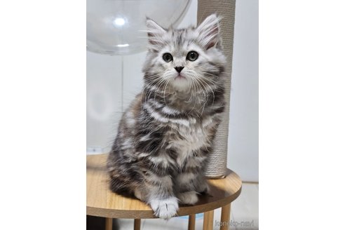 ヴィーナスちゃん1枚目