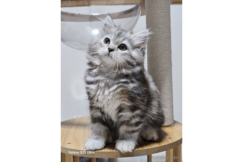 ヴィーナスちゃん1枚目