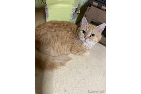 チャツネちゃん1枚目