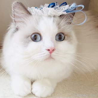 エイミーちゃん1枚目