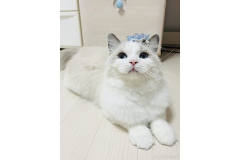 エイミーちゃん1枚目