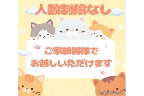 販売中の千葉県のマンチカン-118249の7枚目