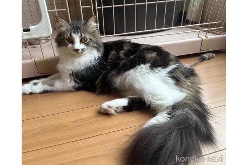 うなぎちゃん1枚目
