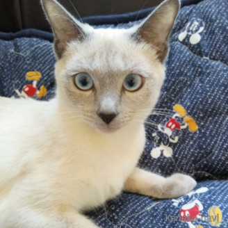 なっちゃん1枚目