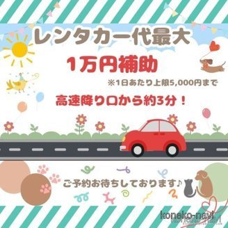 販売中の千葉県のマンチカン-118266の18枚目