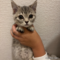 オンライン見学