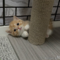 オンライン見学