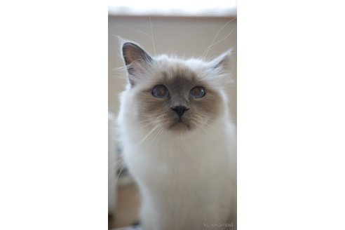 エスティ(Esty)ちゃん1枚目