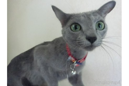 モモちゃん1枚目