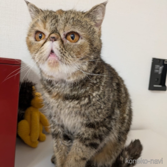 牡丹ちゃん1枚目