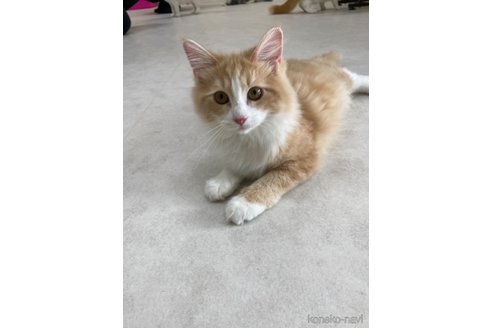 アリサちゃん1枚目