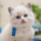 オンライン見学