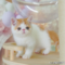 オンライン見学