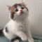 オンライン見学