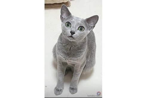 くん1枚目