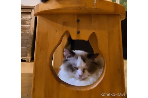 ちゃん1枚目