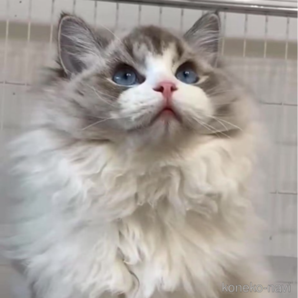 ばんばんくん1枚目