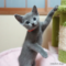 オンライン見学
