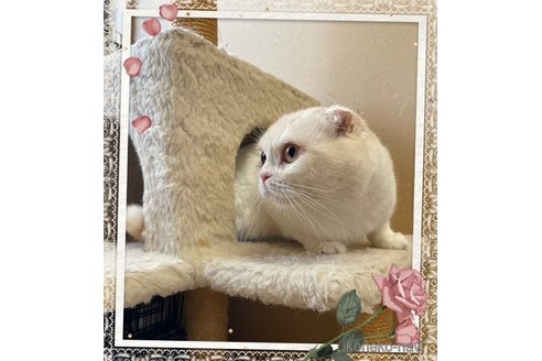 皇子くん1枚目