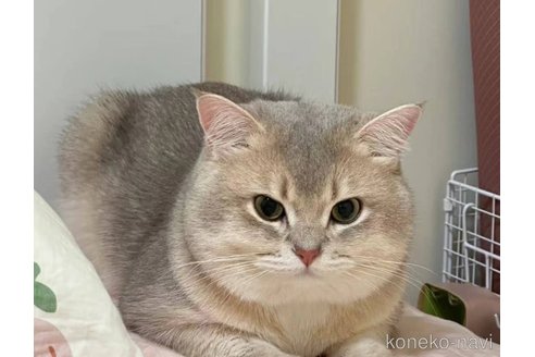 リッキーくん1枚目