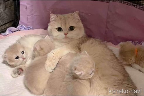 ソフィーちゃん1枚目