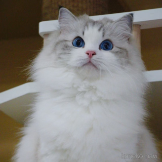 ちゃん1枚目