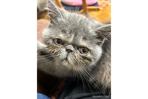 サランちゃん1枚目