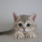 オンライン見学